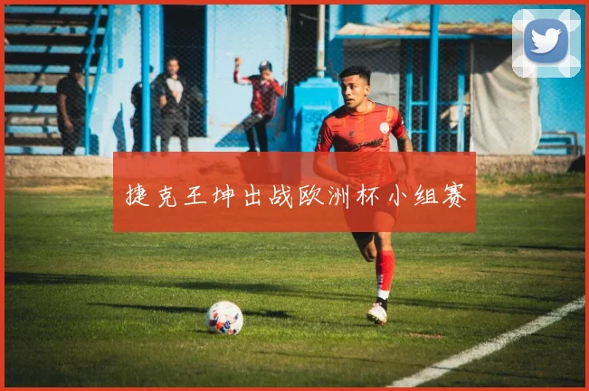 捷克王坤出战欧洲杯小组赛
