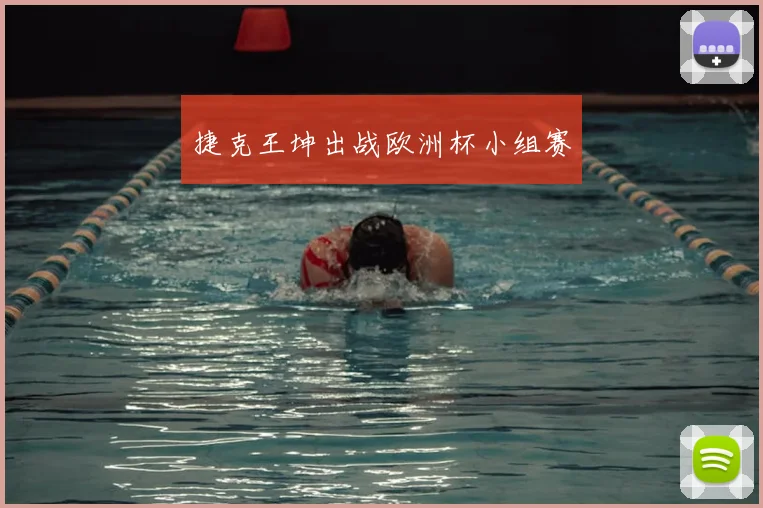 捷克王坤出战欧洲杯小组赛