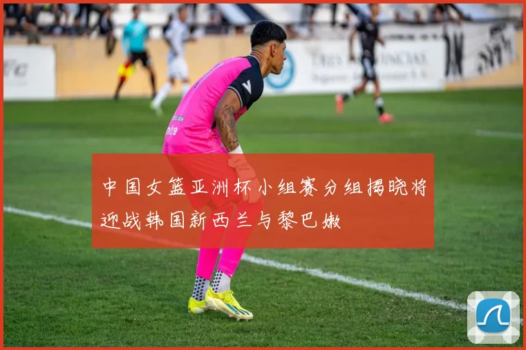 中国女篮亚洲杯小组赛分组揭晓将迎战韩国新西兰与黎巴嫩